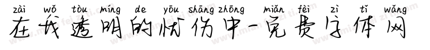 在我透明的忧伤中字体转换