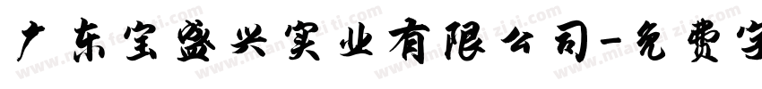 广东宝盛兴实业有限公司字体转换
