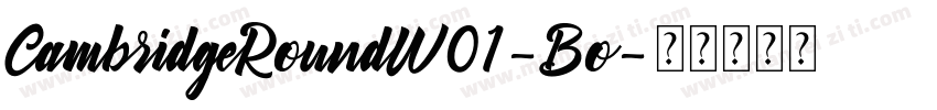 CambridgeRoundW01-Bo字体转换