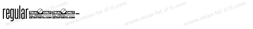 regular24字体转换