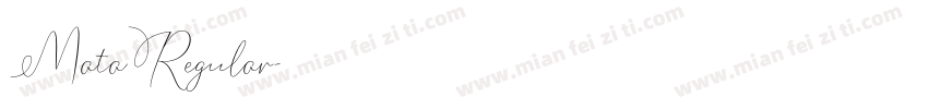 MataRegular字体转换