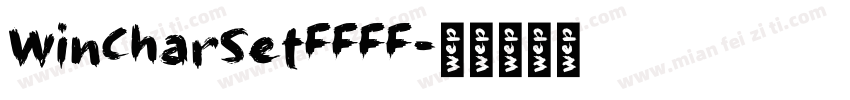 WinCharSetFFFF字体转换