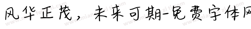 风华正茂，未来可期字体转换
