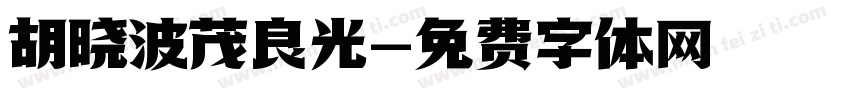 胡晓波茂良光字体转换