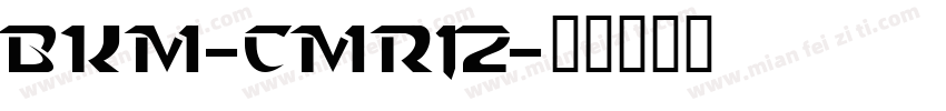 BKM-cmr12字体转换