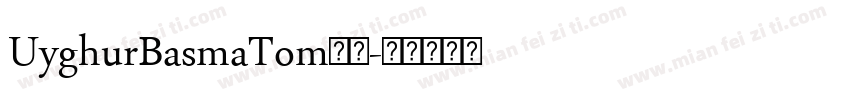 UyghurBasmaTom字体字体转换