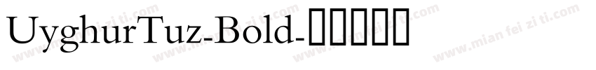 UyghurTuz-Bold字体转换