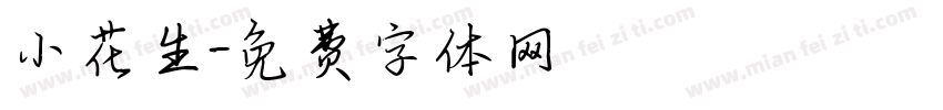小花生字体转换