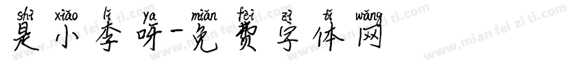 是小李呀字体转换