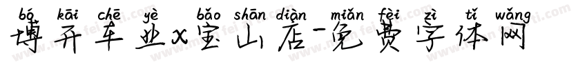 博开车业x宝山店字体转换