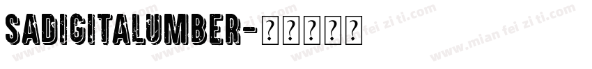 sadigitalumber字体转换