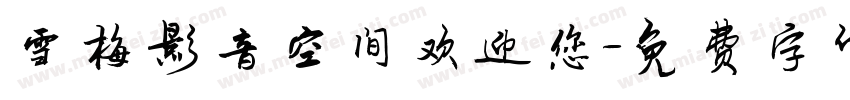 雪梅影音空间欢迎您字体转换