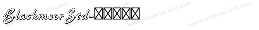 BlackmoorStd字体转换