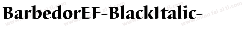 BarbedorEF-BlackItalic字体转换
