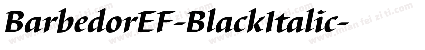 BarbedorEF-BlackItalic字体转换