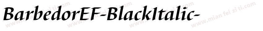 BarbedorEF-BlackItalic字体转换