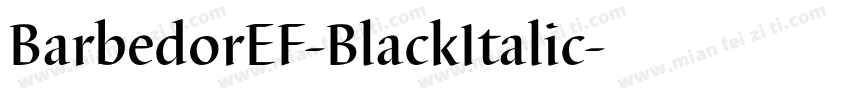 BarbedorEF-BlackItalic字体转换