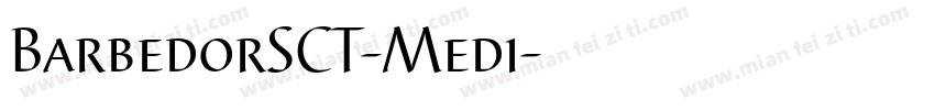 BarbedorSCT-Medi字体转换