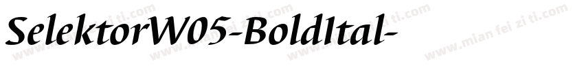 SelektorW05-BoldItal字体转换