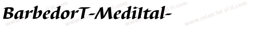 BarbedorT-MediItal字体转换