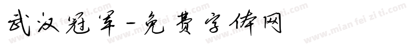 武汉冠军字体转换
