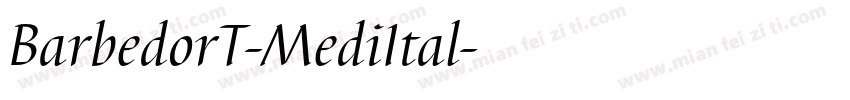 BarbedorT-MediItal字体转换