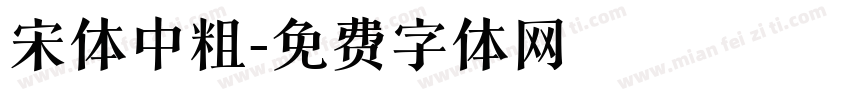 宋体中粗字体转换