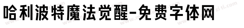 哈利波特魔法觉醒字体转换