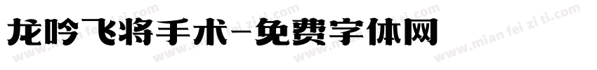 龙吟飞将手术字体转换