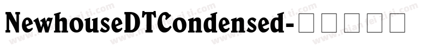 NewhouseDTCondensed字体转换
