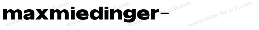 maxmiedinger字体转换