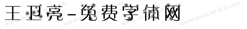 王卫亮字体转换