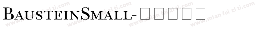 BausteinSmall字体转换
