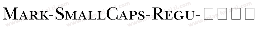 Mark-SmallCaps-Regu字体转换