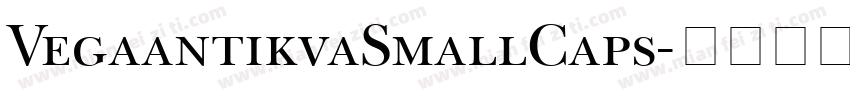 VegaantikvaSmallCaps字体转换