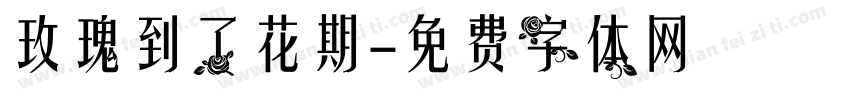 玫瑰到了花期字体转换