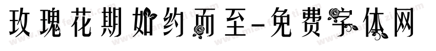 玫瑰花期如约而至字体转换