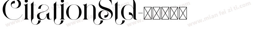 CitationStd字体转换