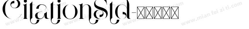 CitationStd字体转换