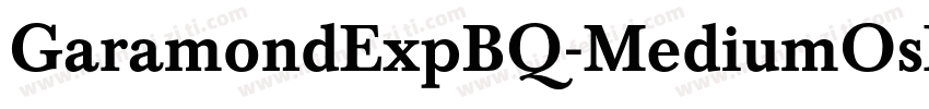 GaramondExpBQ-MediumOsF字体转换