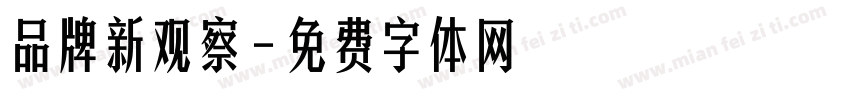 品牌新观察字体转换