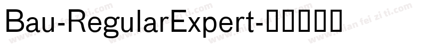 Bau-RegularExpert字体转换