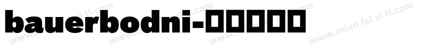 bauerbodni字体转换