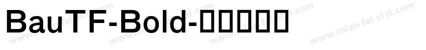 BauTF-Bold字体转换
