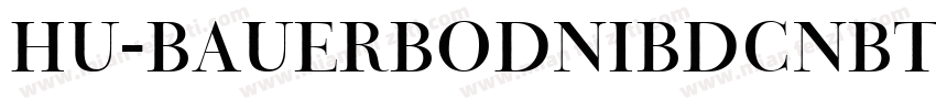 Hu-BauerBodniBdCnBT字体转换