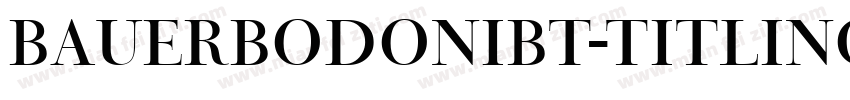 BauerBodoniBT-TitlingNo2字体转换