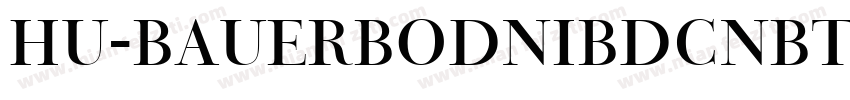 Hu-BauerBodniBdCnBT字体转换