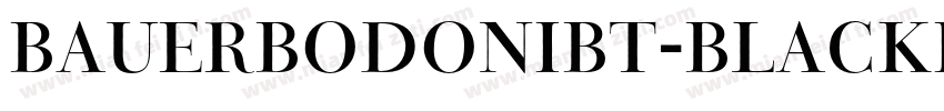 BauerBodoniBT-BlackItalic字体转换
