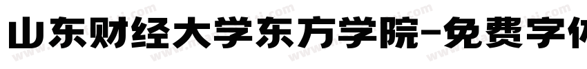 山东财经大学东方学院字体转换