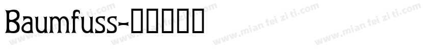 Baumfuss字体转换